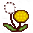Dandelions
