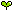 Small sprout